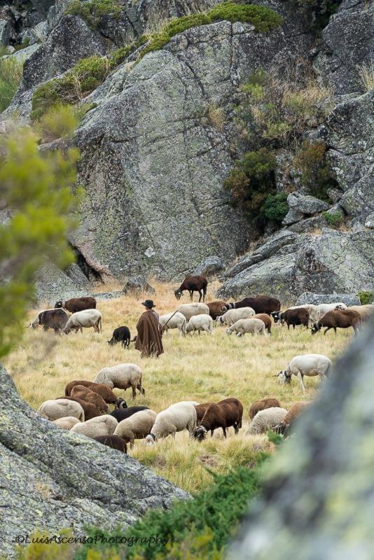 Senhora Da Estrela Al Daire Seia Dış mekan fotoğraf