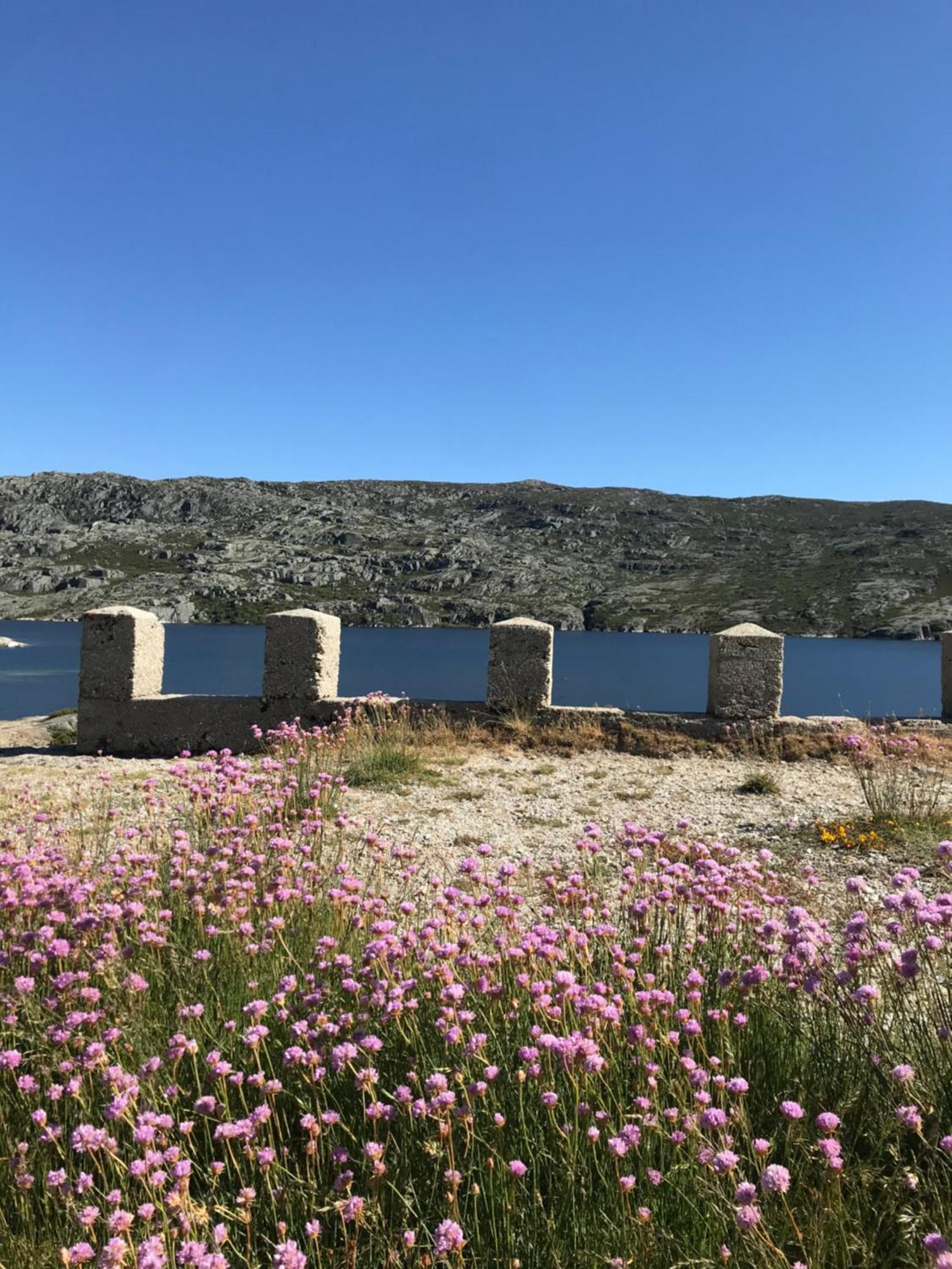 Senhora Da Estrela Al Daire Seia Dış mekan fotoğraf